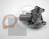 FORD 1126031 Water Pump